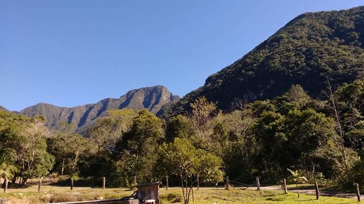 Registro de marca em Treviso, Santa Catarina