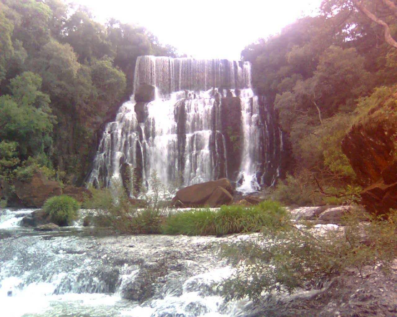 Registro de marca em Trindade do Sul, Rio Grande do Sul