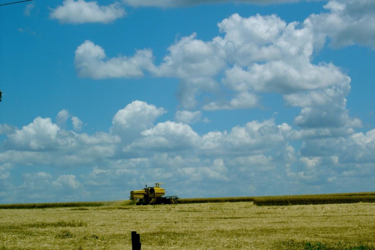 Registro de marca em Tupanciretã, Rio Grande do Sul