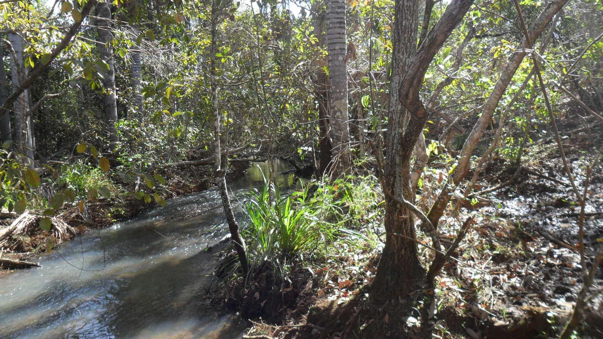 Registro de marca em Turvelândia, Goiás