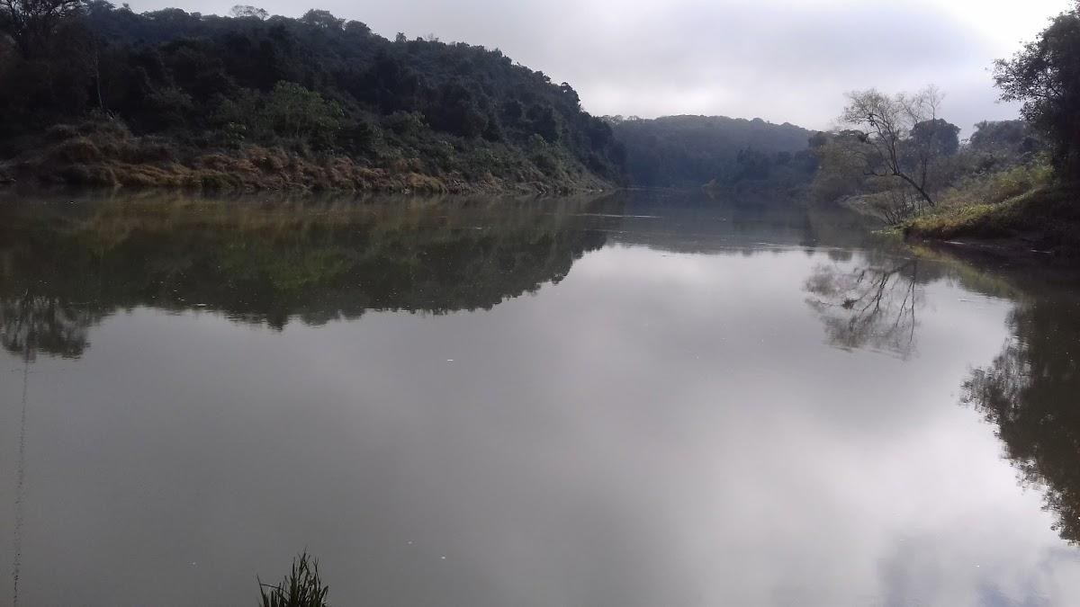 Registro de marca em Turvo, Paraná