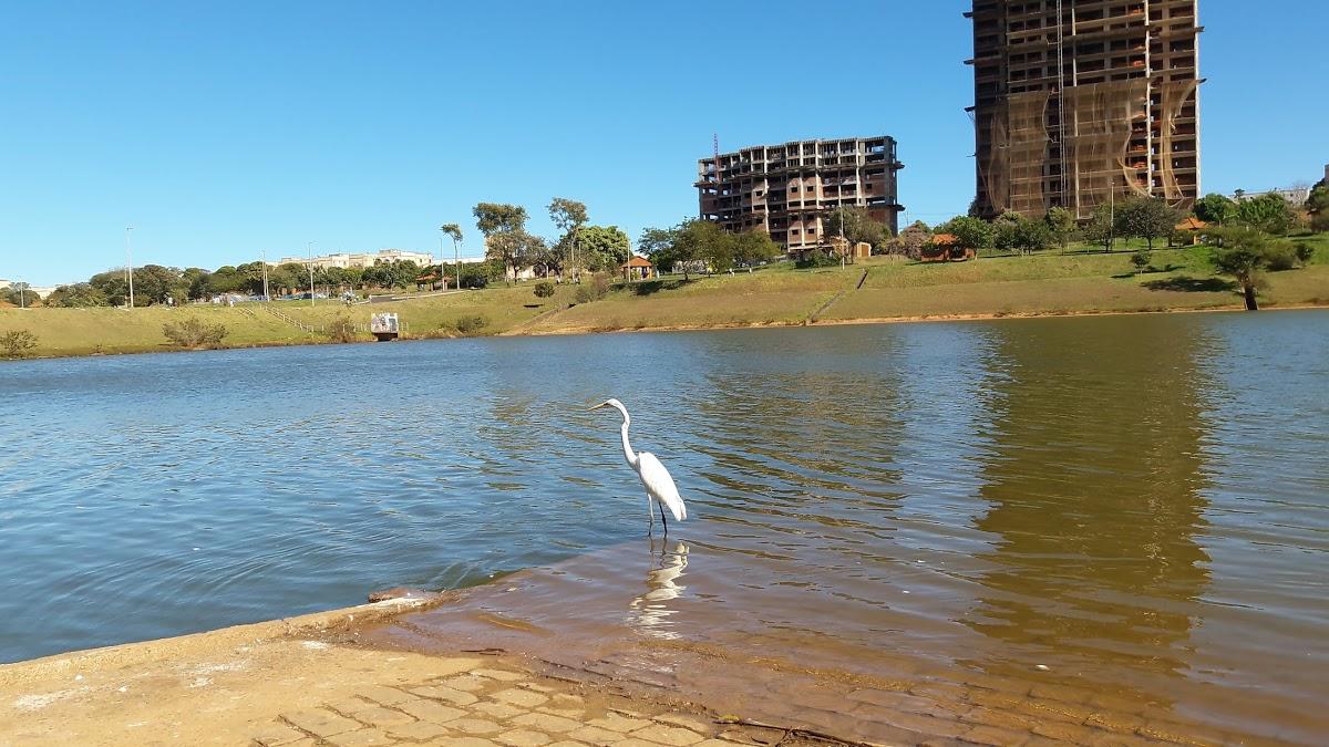 Registro de marca em Uberaba, Minas Gerais