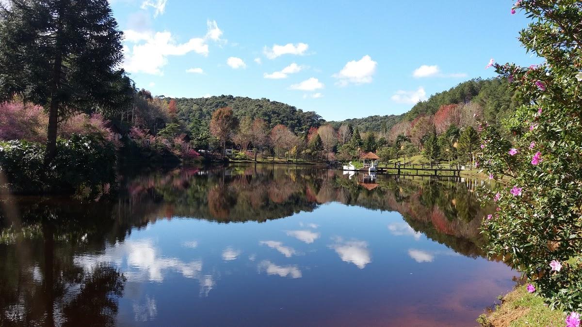 Registro de marca em Vargem Alta, Espírito Santo