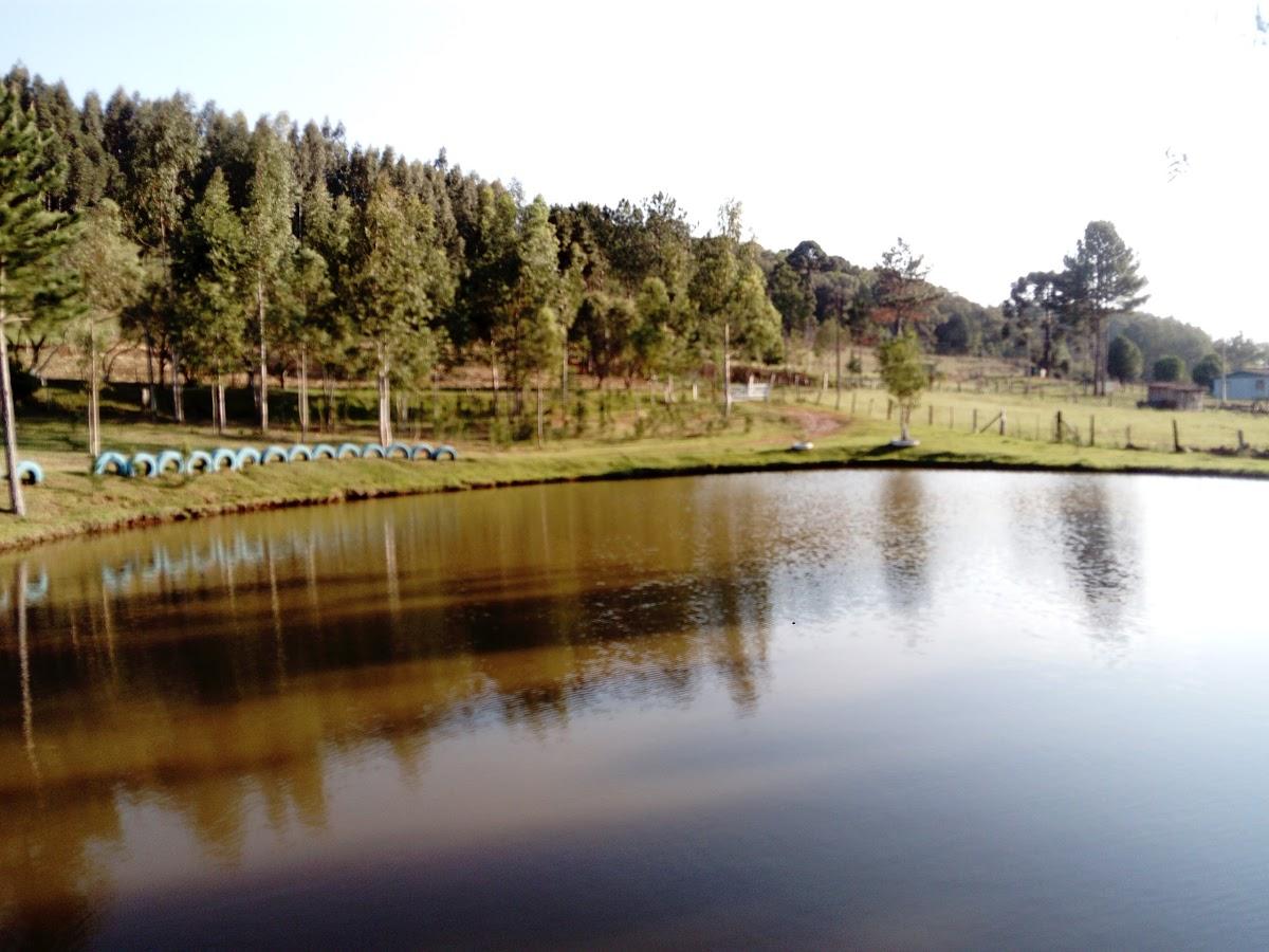 Registro de marca em Vargem Bonita, Santa Catarina