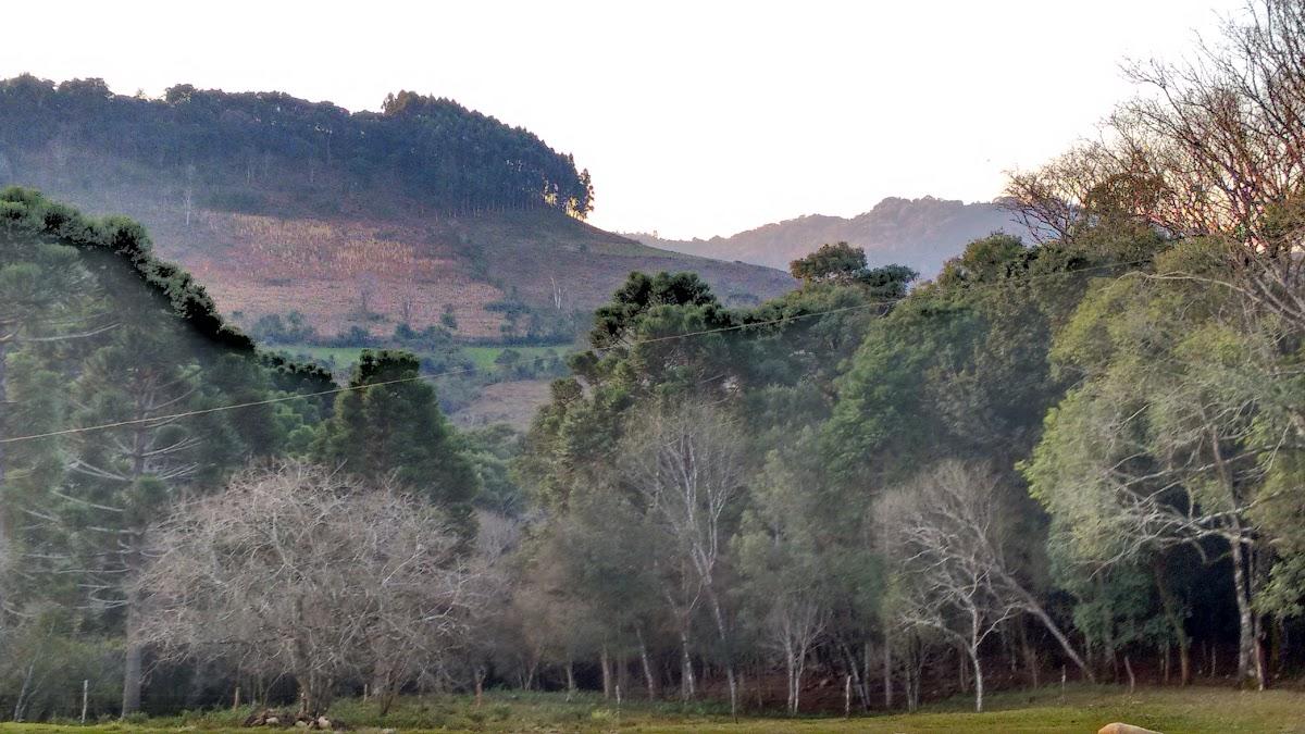 Registro de marca em Vargem, Santa Catarina