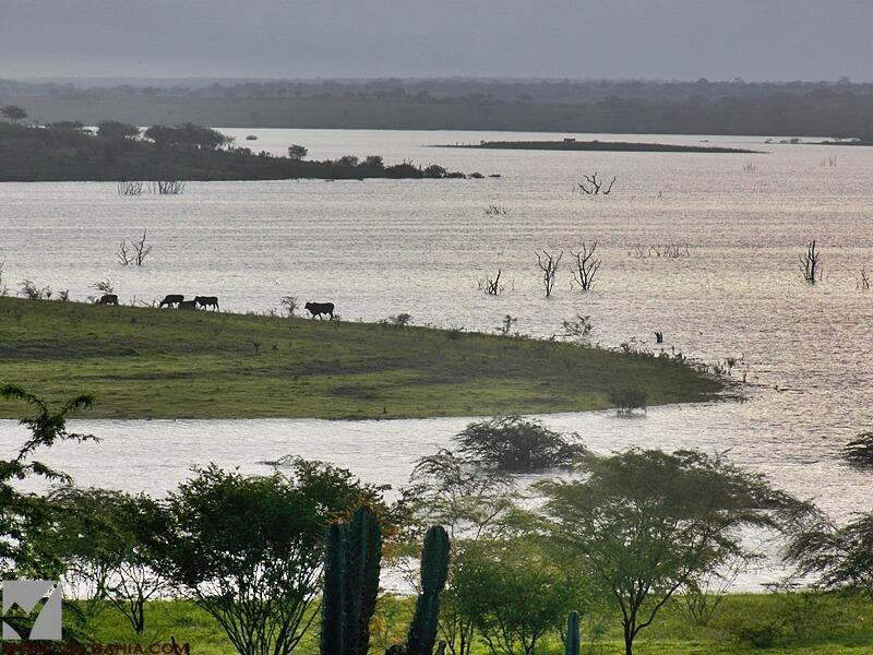 Registro de marca em Várzea da Roça, Bahia
