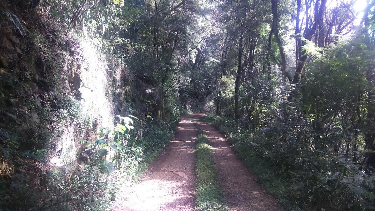 Registro de marca em Viadutos, Rio Grande do Sul