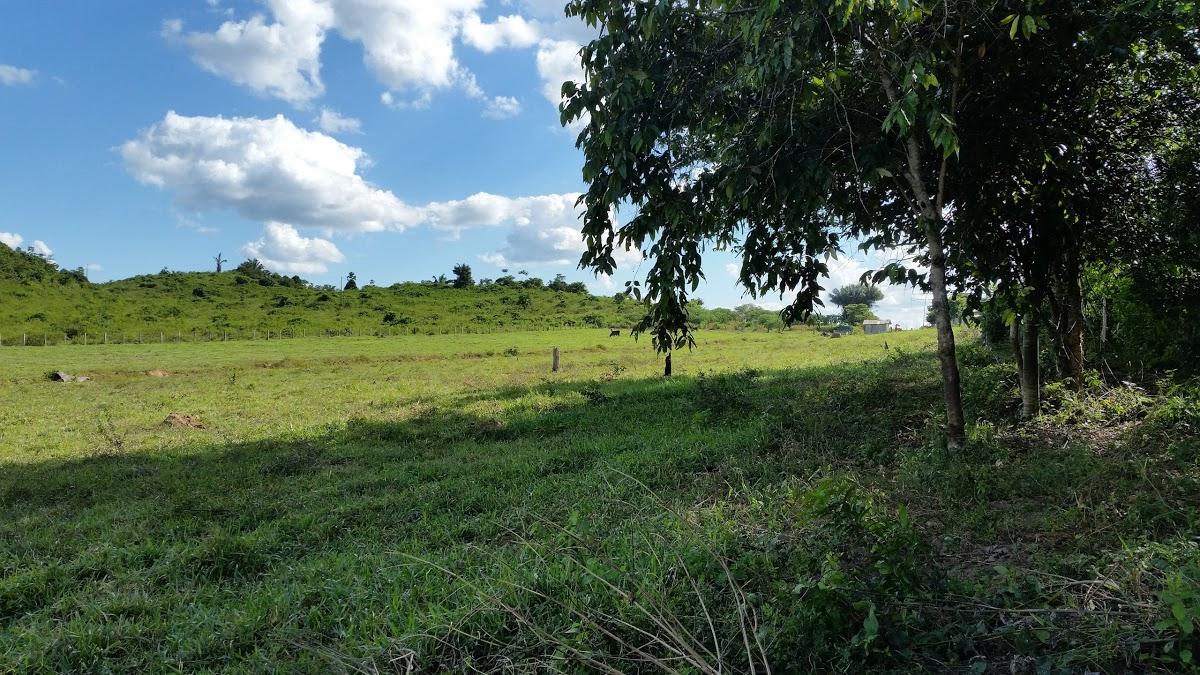 Registro de marca em Vila Nova dos Martírios, Maranhão