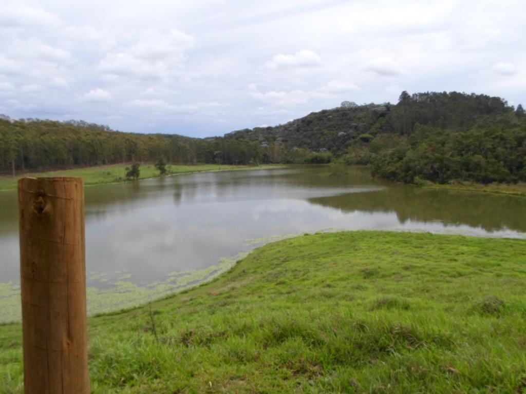Registro de marca em Visconde do Rio Branco, Minas Gerais