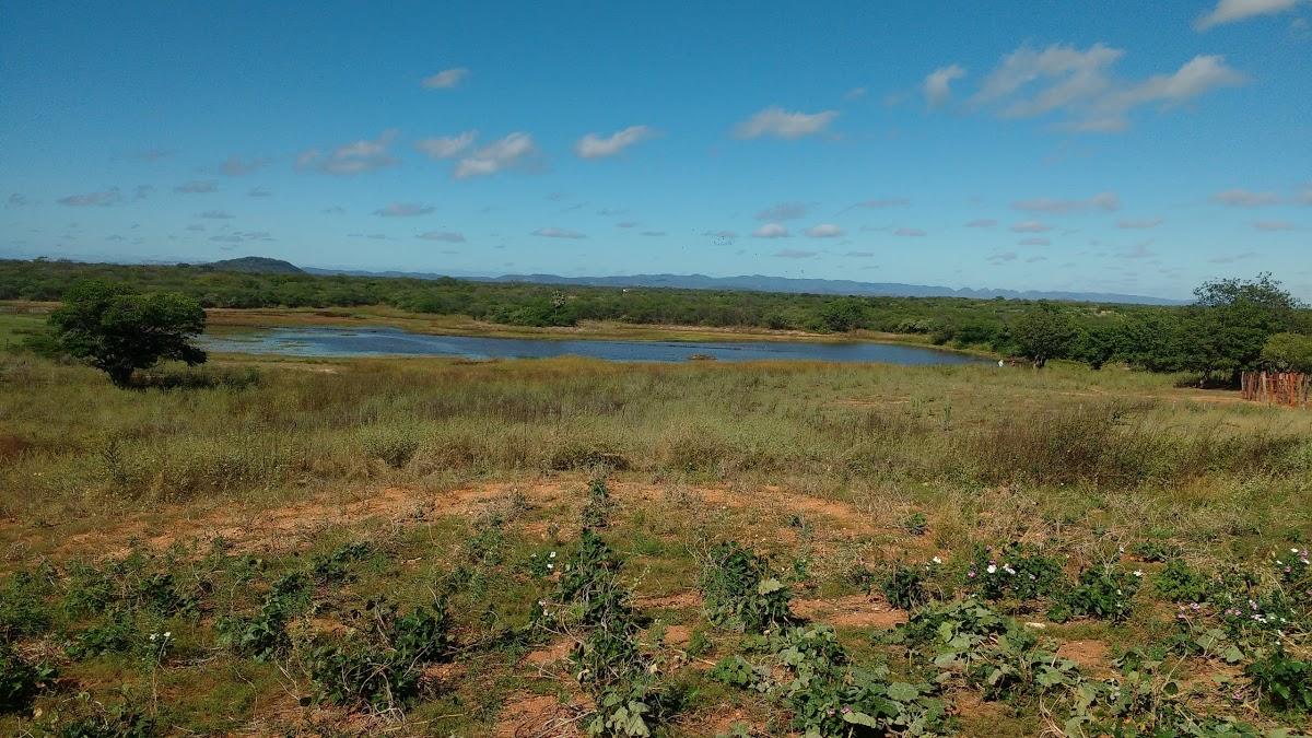 Registro de marca em Vista Serrana, Paraíba