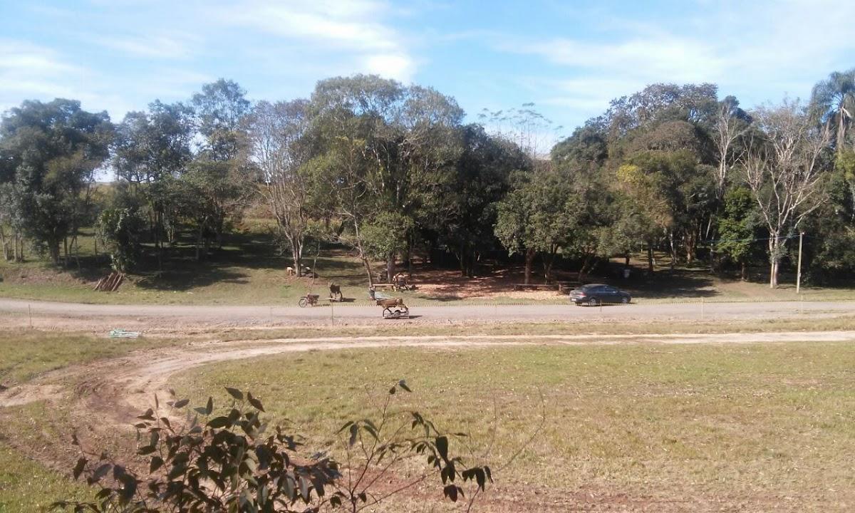 Registro de marca em Witmarsum, Santa Catarina