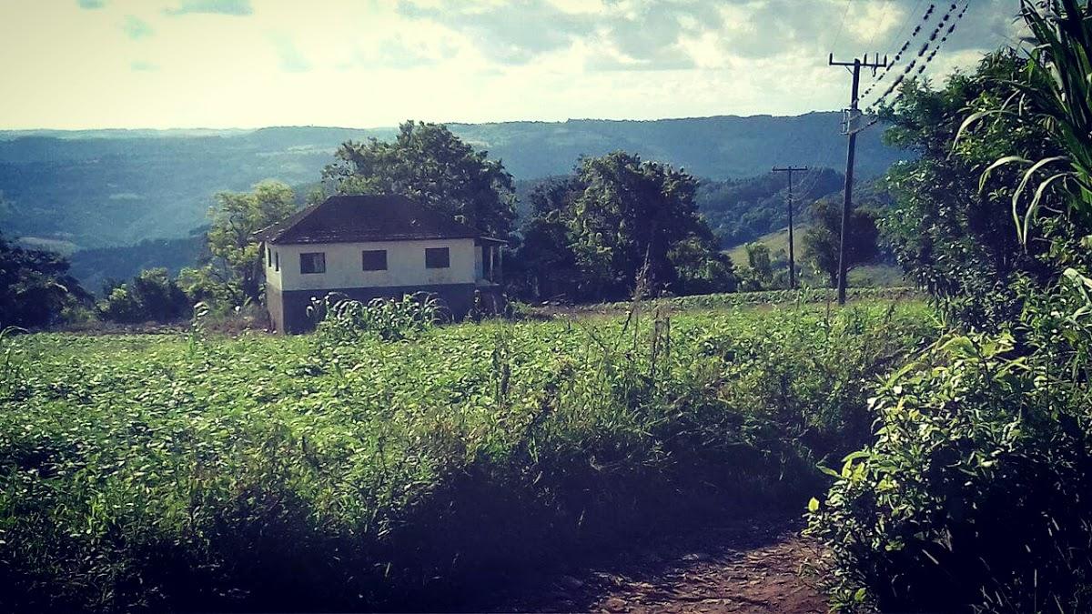 Registro de marca em Xavantina, Santa Catarina