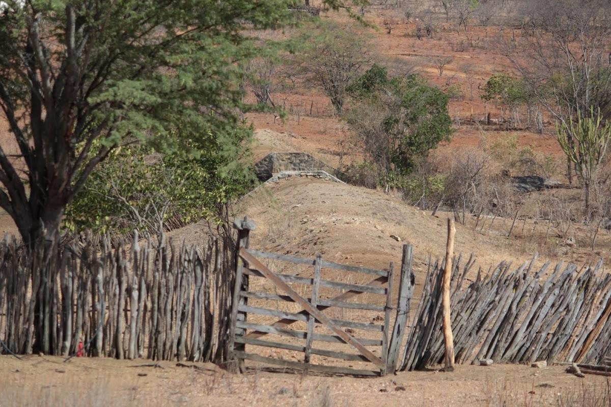 Registro de marca em Zabelê, Paraíba